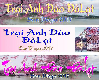 trai anh dao banner 2x8ft